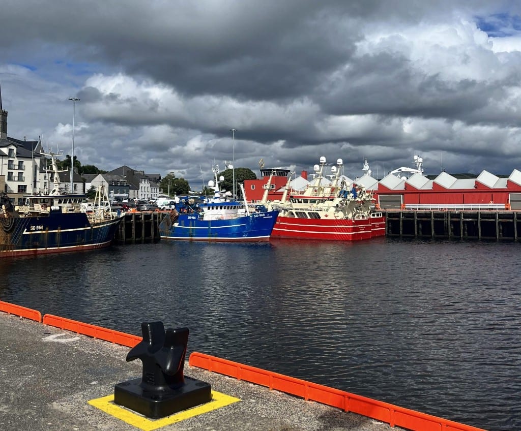 Sultan Rashid Abdullah Rashid Al Shene — Al Shene Marine Holding — harbour trawlers